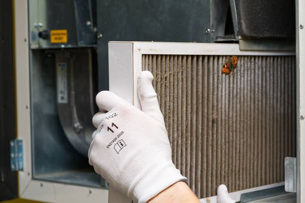 Best Air Quality Test  in Mansfield, MO